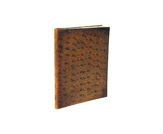 Правила о перспективе (Правила о подлинном свойстве теней)